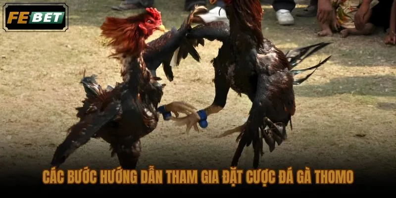 Luồng thao tác đặt cược sảnh đá gà SV388 FEBET từ đăng nhập đến xác nhận vé