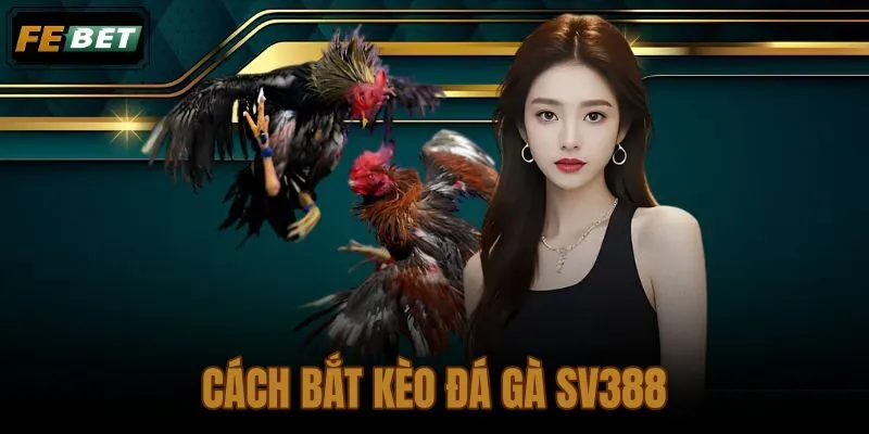Cách bắt kèo đá gà SV388
