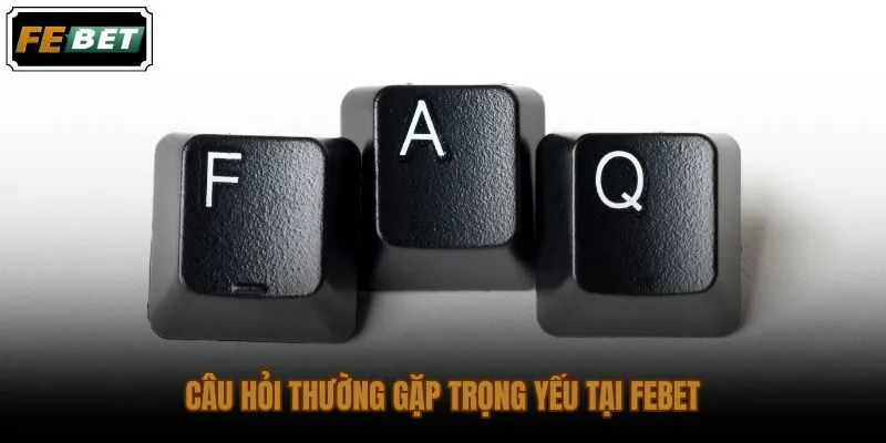 Câu hỏi thường gặp FEBET về giấy phép và mức minh bạch nền tảng