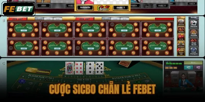 Cược sicbo chẵn lẻ FEBET