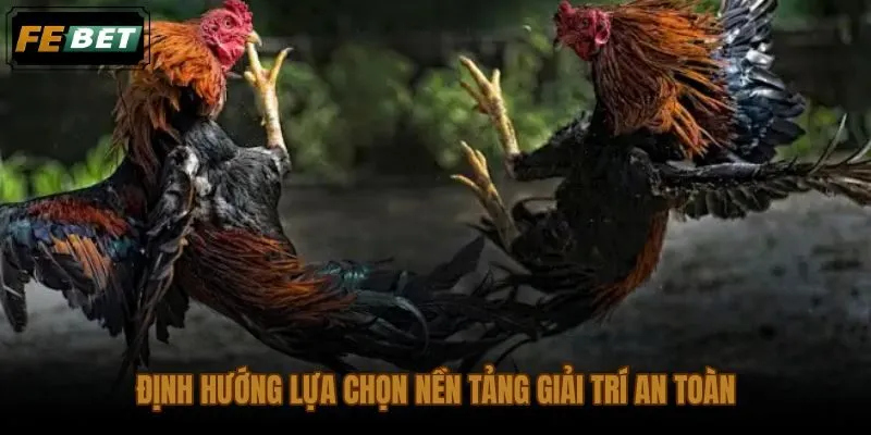 Tiêu chí chọn nền tảng cá cược đá gà Thomo an toàn kèm giới hạn tài chính