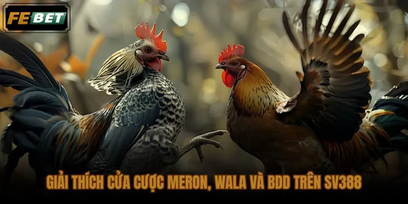 Cách bắt kèo đá gà SV388 qua ba cửa cược nền tảng trên bảng tỷ lệ