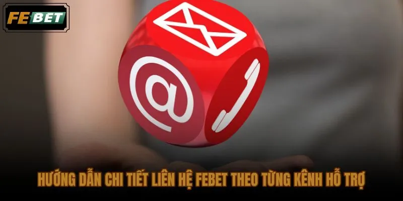 Quy trình liên hệ FEBET qua live chat và hotline từng bước
