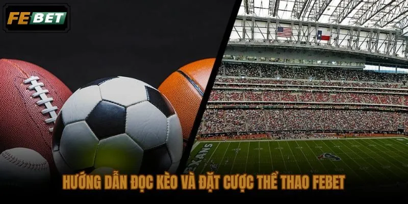Quy trình đọc kèo và đặt cược thể thao FEBET từ phân tích đến xác nhận vé