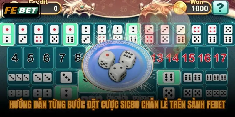 Quy trình đặt cược sicbo chẵn lẻ FEBET từ đăng nhập đến xác nhận vé