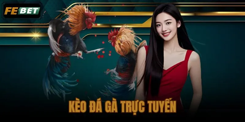 Kèo đá gà trực tuyến