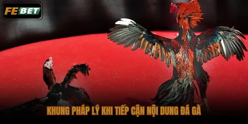 Phân biệt hành vi xem lại trận đá gà hôm nay với cổ xúy cá cược