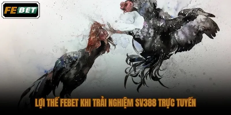 Sảnh đá gà SV388 FEBET với ba lớp truy cập và kiểm soát sau cược
