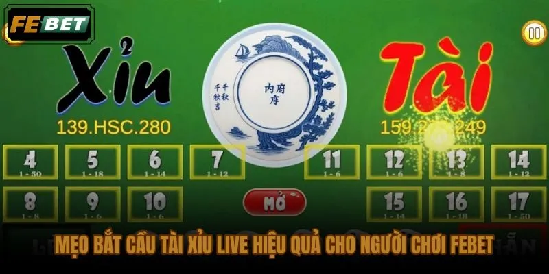 Mẹo cách bắt cầu tài xỉu live với kỷ luật dừng đúng lúc tại FEBET