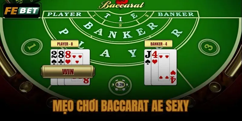 Mẹo chơi baccarat AE Sexy