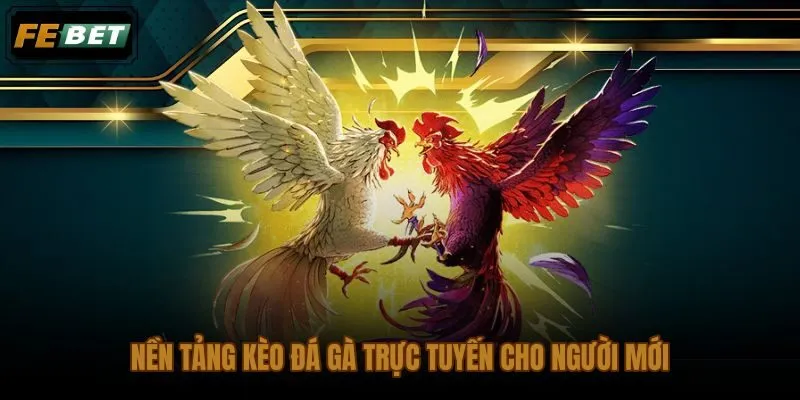 Kèo đá gà trực tuyến và cấu trúc bảng tỷ lệ dành cho người mới