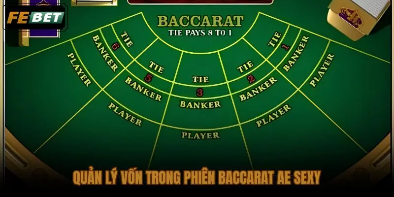 Phân bổ vốn phiên và ngưỡng dừng lỗ cho mẹo chơi baccarat AE Sexy