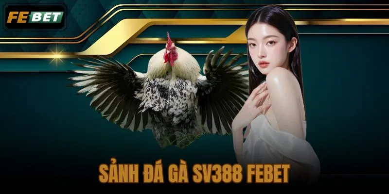 Sảnh đá gà SV388 FEBET
