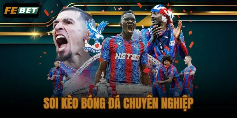 Soi kèo bóng đá chuyên nghiệp