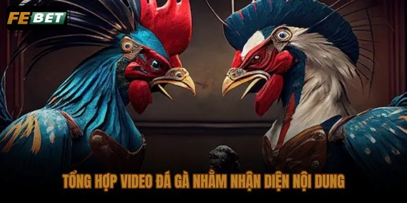 Xem lại trận đá gà hôm nay qua lớp rủi ro ẩn sau hình ảnh