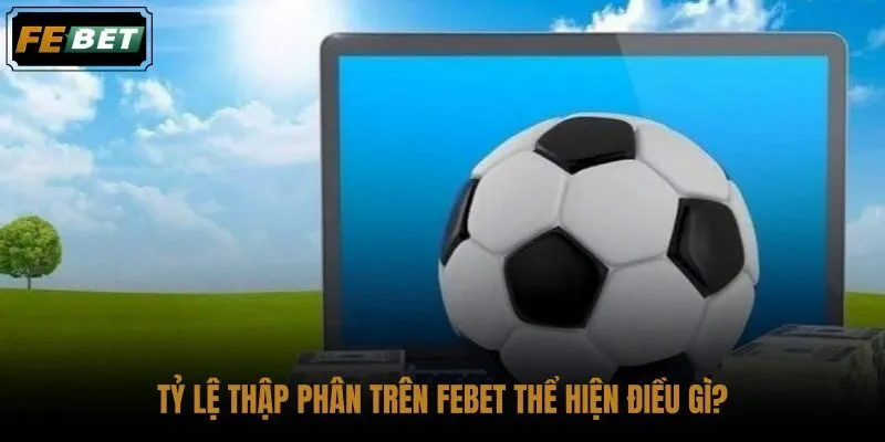 ty-le-thap-phan-tren-febet-the-hien-dieu-gi ty-le-thap-phan-tren-febet-the-hien-dieu-gi